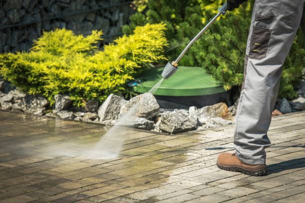 Best Patio and Deck Pressure Washing  in Aiea, HI