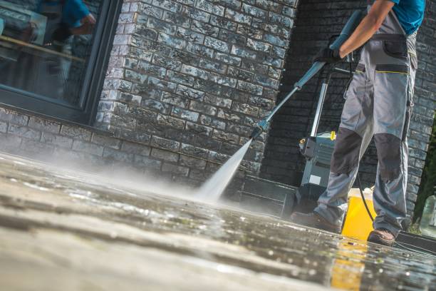 Pre-Holiday Cleaning in Aiea, HI