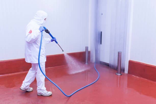 Best Warehouse Cleaning  in Aiea, HI
