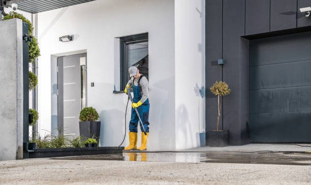 Best Driveway Pressure Washing  in Aiea, HI